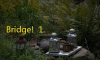 Bridge!  1.01